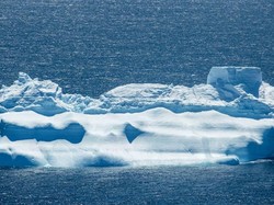 Es di Laut Benua Antartika Mencair, Sudah Kritis Banget Nih Bumi