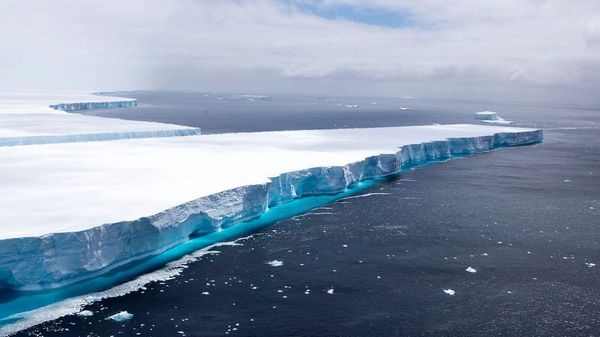 Gunung Es Terbesar Dunia Terbelah, Populasi Hewan Liar Terancam