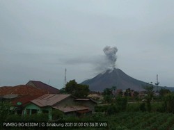 Gunung Sinabung Erupsi, Kolom Abu Capai 1.000 Meter