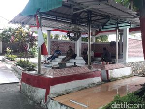 Kisah Tragis Hewan Peliharaan Ibu Selamatkan Gajah Mada Kecil dari Ular Besar Kisah Tragis Hewan Peliharaan Ibu Selamatkan Gajah Mada Kecil dari Ular Besar