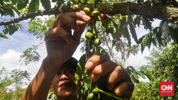 Desa Cahaya Alam, Kecamatan Semende Darat Ulu, Kabupaten Muara Enim