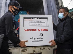 Kabar Terbaru Fatwa MUI Tentang Vaksin Corona Sinovac