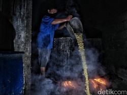 Importir Diusulkan Wajib Pasok Bibit Kedelai