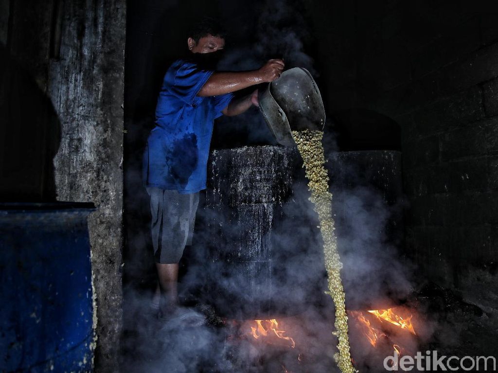 Importir Diusulkan Wajib Pasok Bibit Kedelai Importir Diusulkan Wajib Pasok Bibit Kedelai