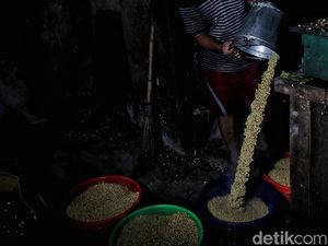 Petani Blak-blakan Alasan Ogah Tanam Kedelai