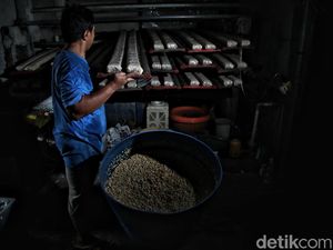 RI Belum Bisa Lepas dari Kedelai Impor, Tahun Ini Capai 2,6 Juta Ton