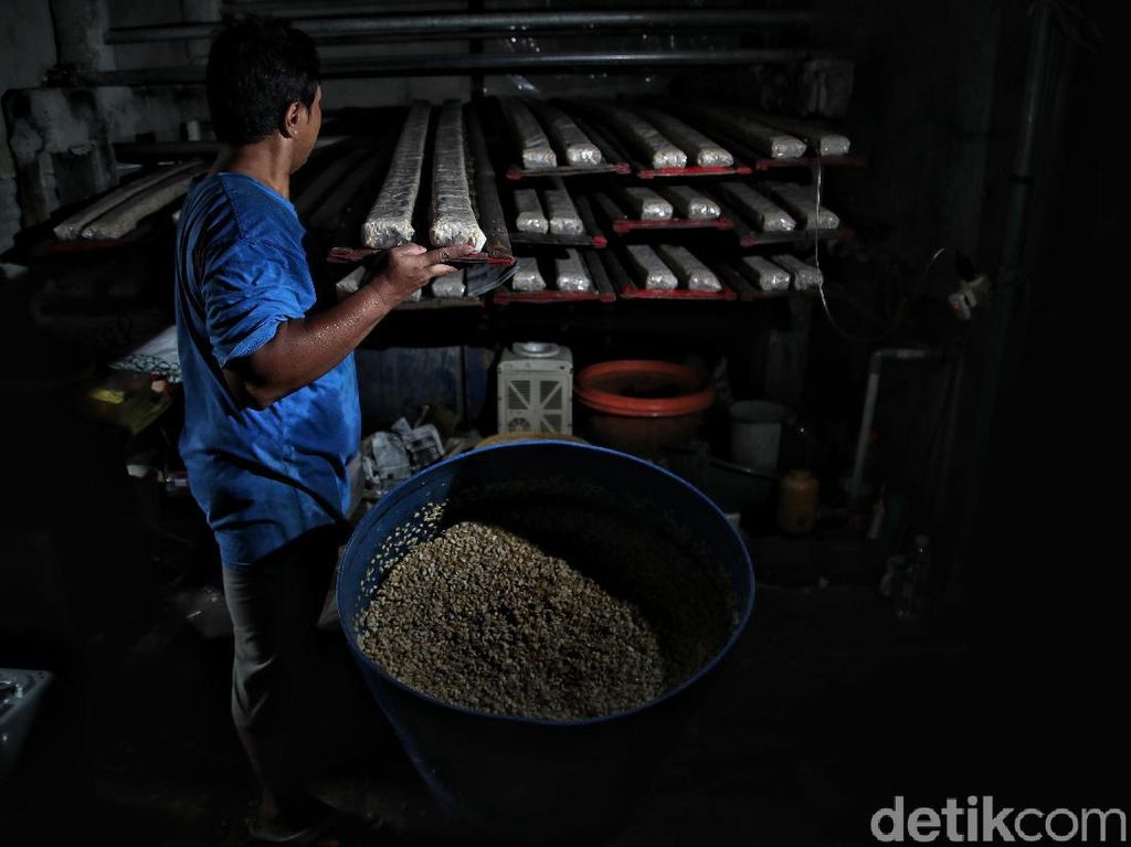 RI Belum Bisa Lepas dari Kedelai Impor, Tahun Ini Capai 2,6 Juta Ton RI Belum Bisa Lepas dari Kedelai Impor, Tahun Ini Capai 2,6 Juta Ton