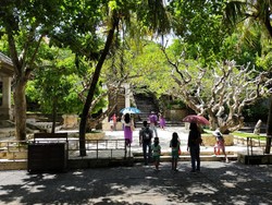 Baliku Sepi, Baliku Malang