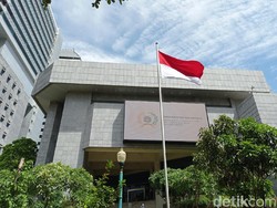 Wakil Rakyat Minta DKI Cek Rutin Pohon Agar Tak Rungkad Seperti di Tebet