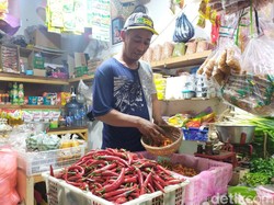 Harga Cabai Rawit di Banyuwangi Semakin Pedas
