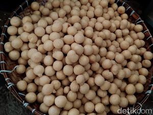 Hiks, Ukuran Tahu Bulat Jadi Mini