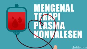 Mengenal Terapi Plasma Konvalesen untuk COVID-19 yang Makin Populer
