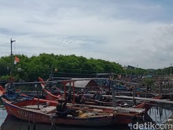 Cuaca Ekstrem, Nelayan Cirebon Pilih Jadi Kuli dan Cari Kerang Hijau