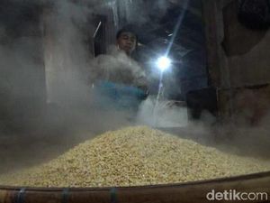 Sederet Biang Kerok yang Bikin Harga Kedelai Impor Naik Sederet Biang Kerok yang Bikin Harga Kedelai Impor Naik
