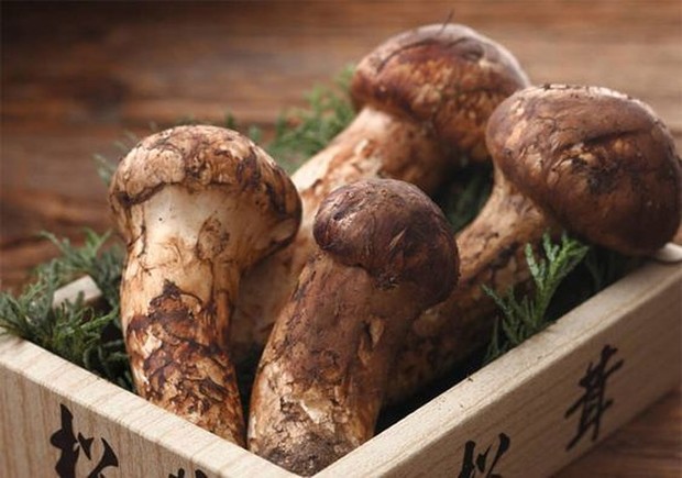 Jamur matsutake atau dalam bahasa Korea yaitu, songi beoseot.
