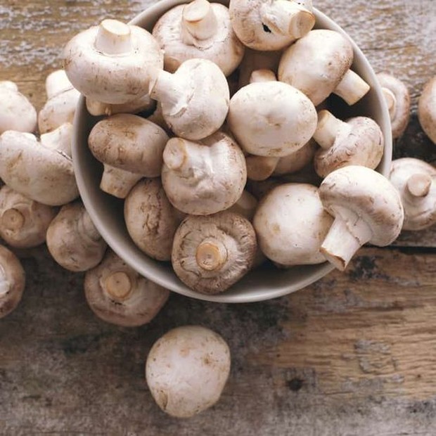 Jamur kancing atau dalam bahasa Korea yaitu, yangsongi beoseot.