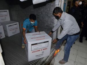 Vaksin Sinovac Sudah Disebar, MUI: Kehalalannya Sedang Diteliti