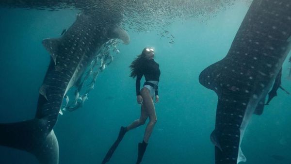 Potret Wisata Berau yang Bikin Kamu Ngebet Liburan