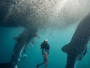 Potret Wisata Berau yang Bikin Kamu Ngebet Liburan Potret Wisata Berau yang Bikin Kamu Ngebet Liburan