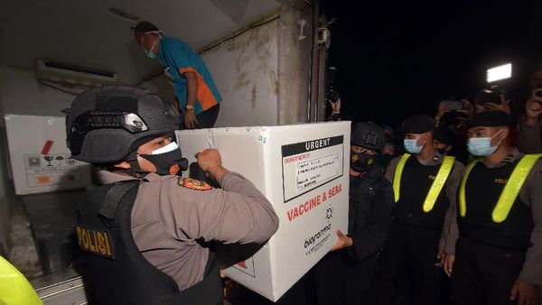 31.000 Dosis Vaksin Sinovac Tiba di Bali