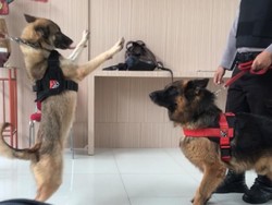 Anjing K9 hingga Tim Gegana Kawal Sidang Lanjutan Praperadilan Rizieq