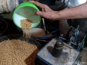 Harga Kedelai Turun ke Rp 8.500/Kg, Berapa Lama?