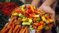 Cabai Rawit Merah dan Kedelai Jadi Barang Mahal