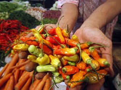 Imbas Harga Cabai Naik, Sambal Ayam Bakar Dijual Terpisah