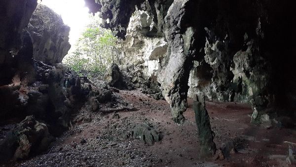 Foto: Gua di Papua dengan Lukisan Alien yang Misterius