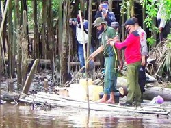 Nenek Diterkam Buaya Usai BAB, BKSDA Ingatkan Tak Buang Bangkai ke Sungai