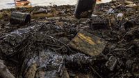 Limbah Minyak Cemari Pantai Pulau Batam