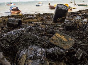 Limbah Minyak Cemari Pantai Pulau Batam
