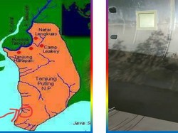 Puing Diduga Badan Pesawat di Kotawaringin Barat Serpihan AirAsia QZ8501?