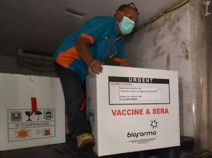 Terungkap! Ini Risiko Besar Jika Gagal Simpan Vaksin COVID-19