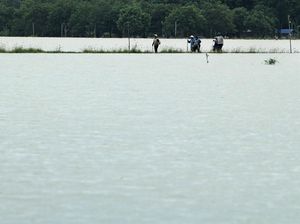 Terendam Banjir, Sawah di Indramayu Bak Lautan