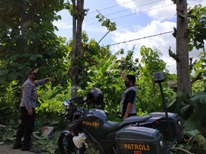 Pria di Ponorogo Meninggal Saat Potong Ranting Pria di Ponorogo Meninggal Saat Potong Ranting