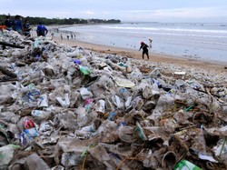Peringati Hari Lingkungan Hidup, Saatnya Pemuda Ambil Bagian Pulihkan Ekosistem