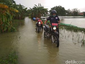 Banjir Lamongan Rendam 1.000 Rumah di 5 Kecamatan Banjir Lamongan Rendam 1.000 Rumah di 5 Kecamatan