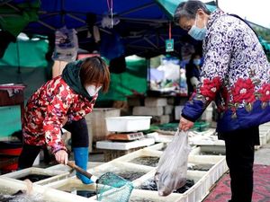 Tim WHO yang Selidiki Asal-usul Virus Corona Ditolak Masuk ke China