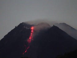 Dalam 6 Jam, Gunung Merapi Keluarkan 9 Kali Guguran Lava Pijar