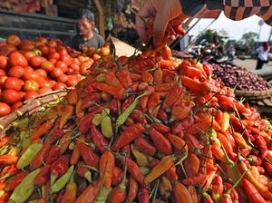 Terungkap! Ini Biang Kerok Harga Cabai Rawit Merah Mahal