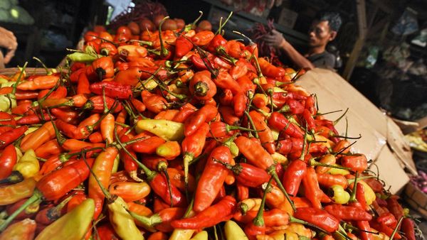 Nah Lho, Harga Cabai Tembus Rp 90.000/Kg