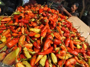 Harga Cabai di Bandung Kian Pedas, Tembus Rp 100 Ribu