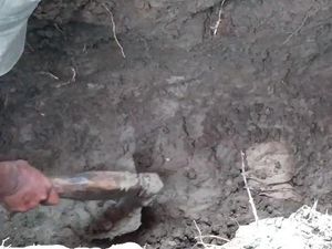 Warga Bojonegoro Temukan Jasad Utuh yang Diduga 20 Tahun Terkubur