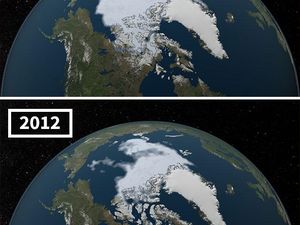 Foto Ngeri Dampak Pemanasan Global