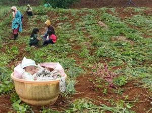 Ibunya Bekerja, Bayi 4 Bulan di Bandung Terpaksa Dibawa Kakeknya Berkebun