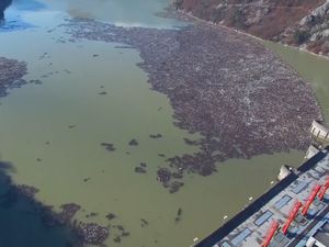 Pulau Sampah Muncul di Sungai Bosnia
