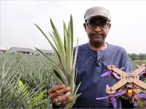 Malaysia Kembangkan Serat Daun Nanas Jadi Kerangka Drone