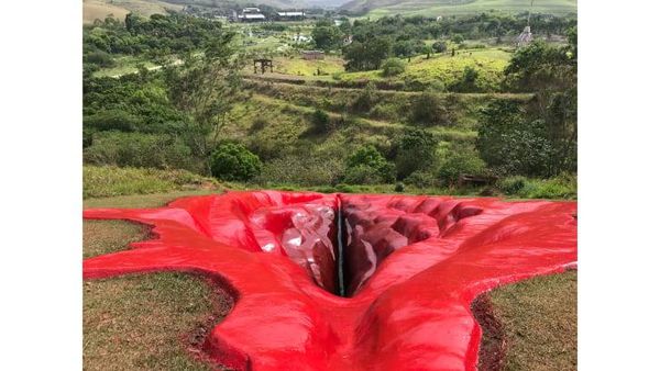 Penampakan Vagina Raksasa dari Brasil yang Bikin Heboh