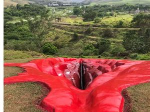 Penampakan Vagina Raksasa dari Brasil yang Bikin Heboh Penampakan Vagina Raksasa dari Brasil yang Bikin Heboh